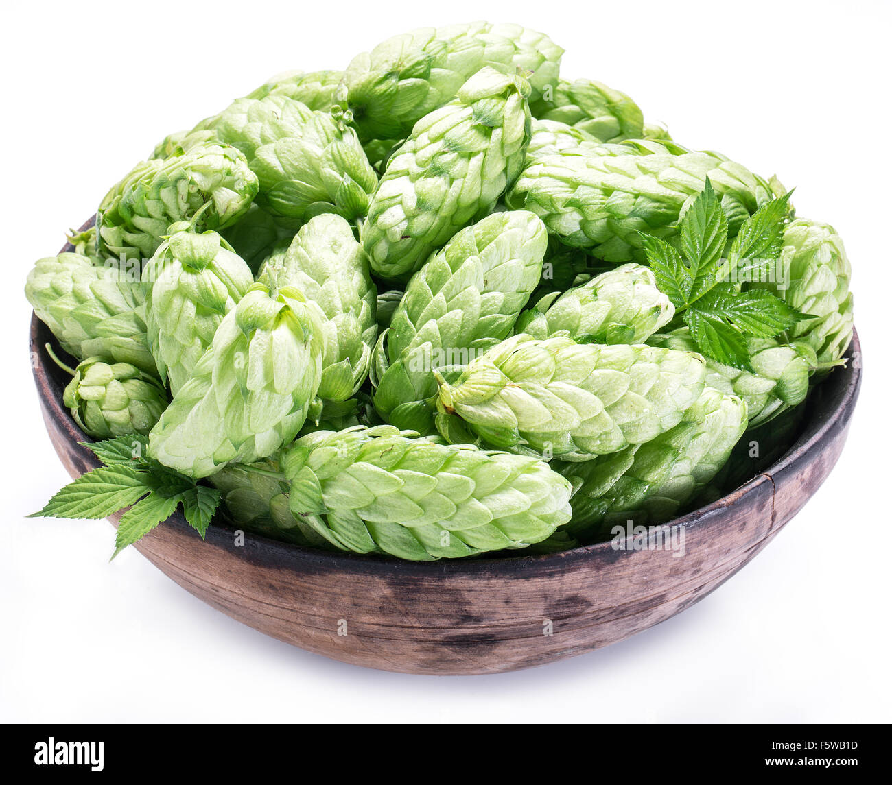 Hop cones in the old wooden bowl. Isolated on the white background. Stock Photo