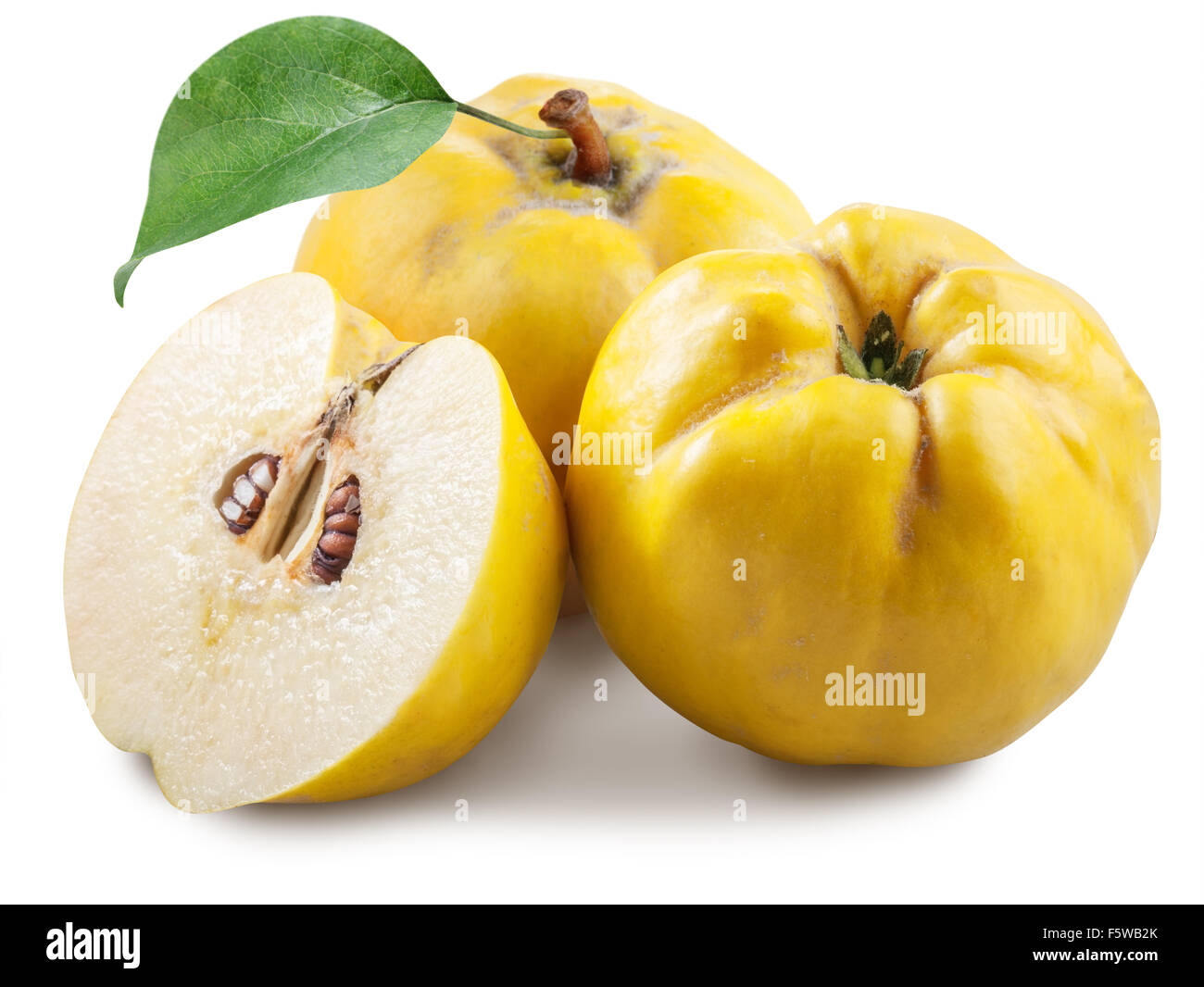 Apples-quince with leaf. File contains clipping paths. Stock Photo