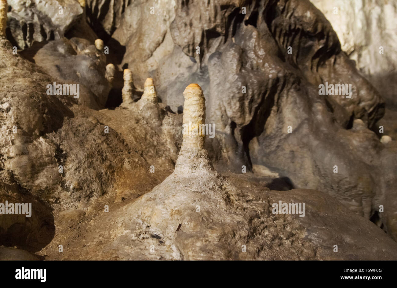 Unique calcite Poached Egg stalagmites, Poole's Cavern, Buxton, Derbyshire Peak District, England UK Stock Photo