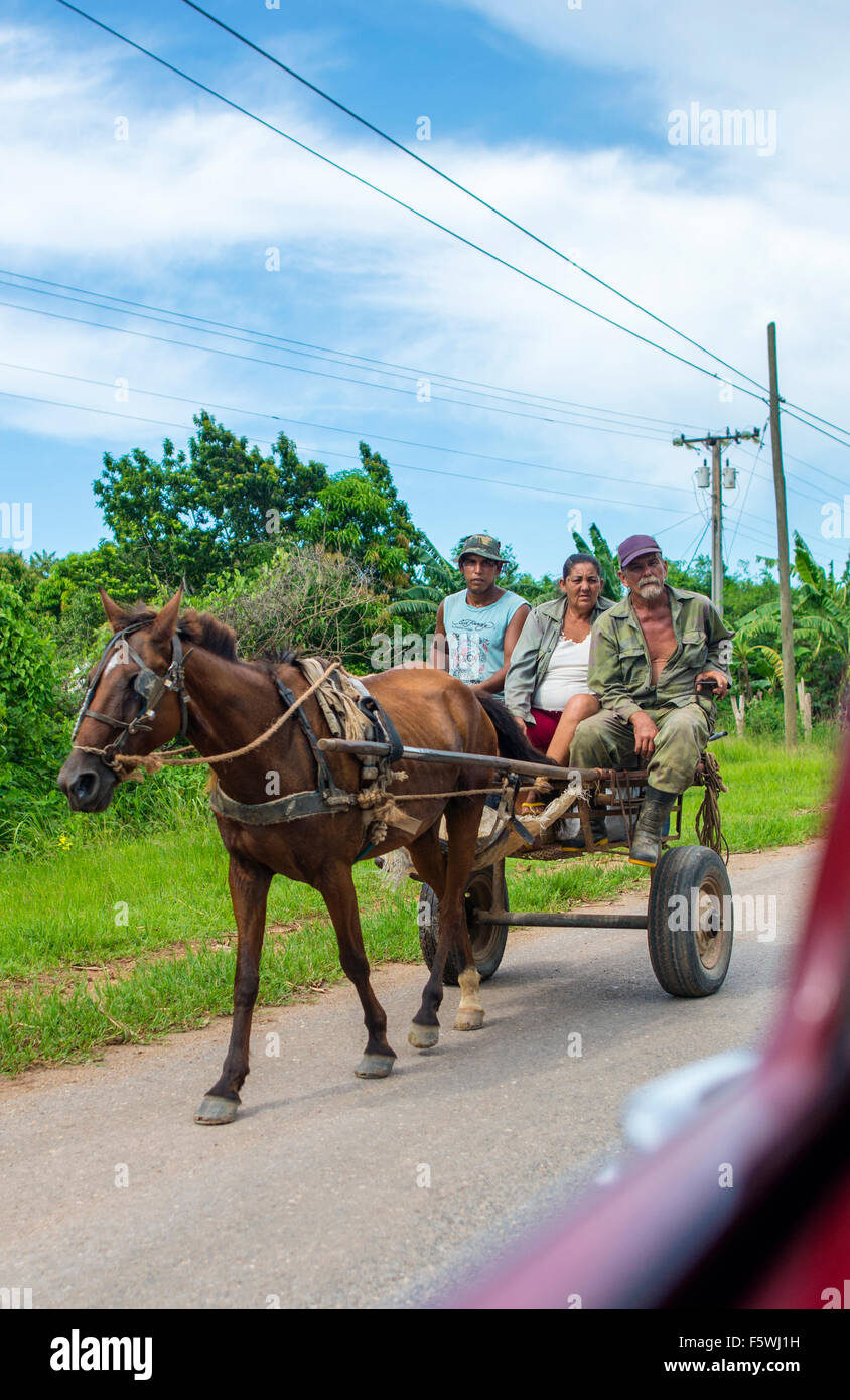 Three men travelling by horse and buggy, Vinales, Cuba, Caribbean, West Indies Stock Photo
