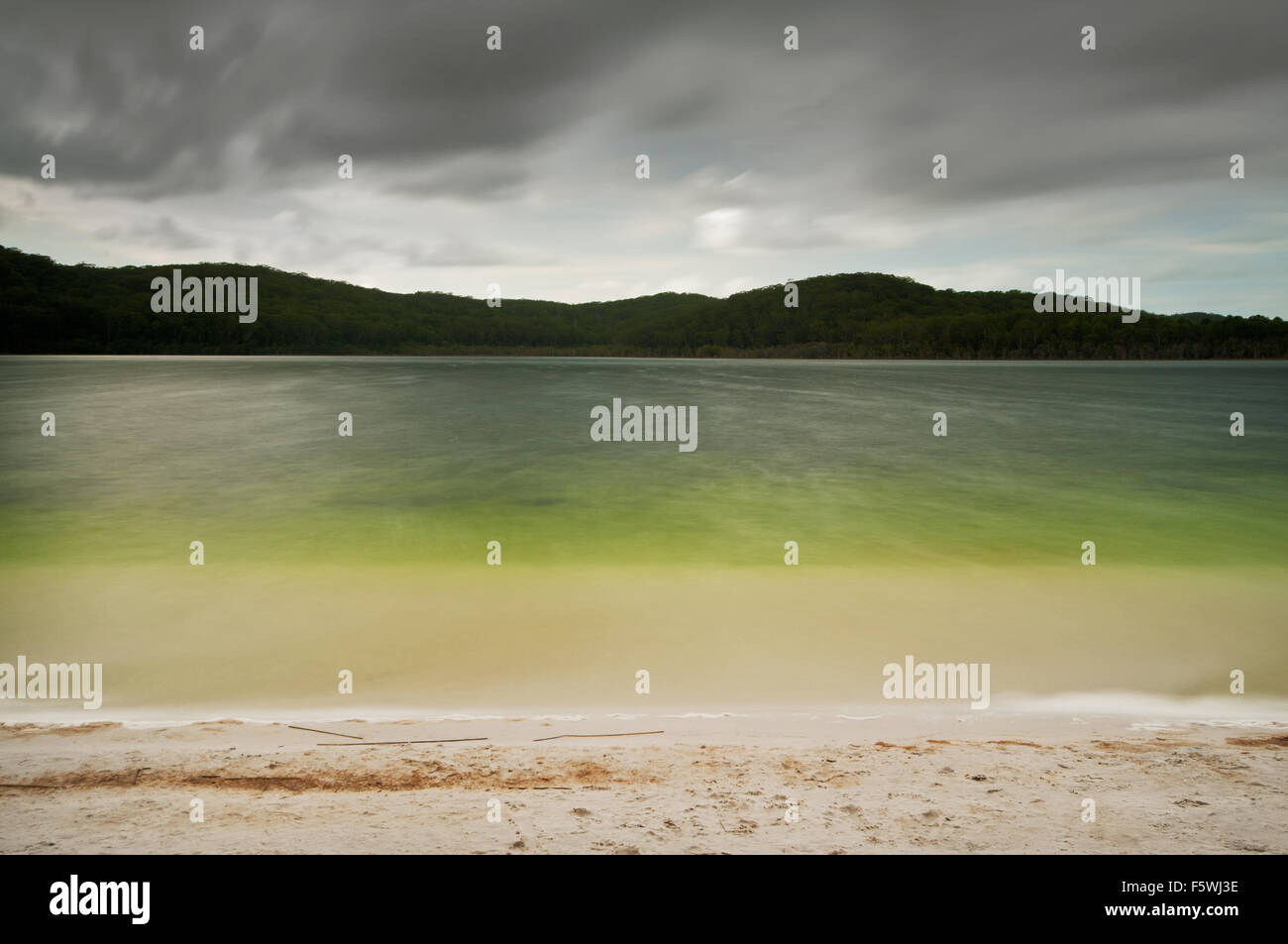 Lake Birrabeen on Fraser Island. Stock Photo