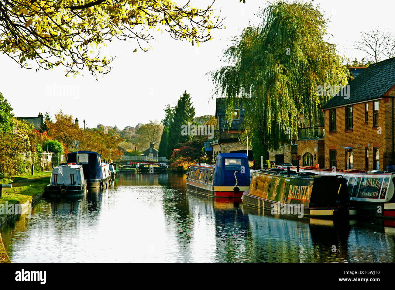 The Grand Union Canal at Berkhamsted Stock Photo