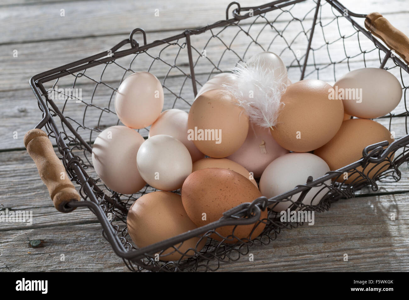 Hen's egg, hen's eggs, Hühnereier, Hühnerei, Eier, Ei, glückliche Eier, freilaufende Hühner, Bioeier, Zwerghuhn, Zwerghühner Stock Photo