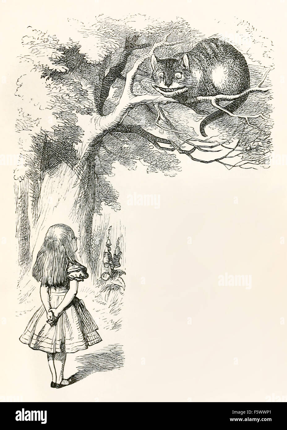 The Pig Baby, from the Lewis Carroll Story Alice in Wonderland,  Illustration by Sir John Tenniel 1871 Stock Photo - Alamy