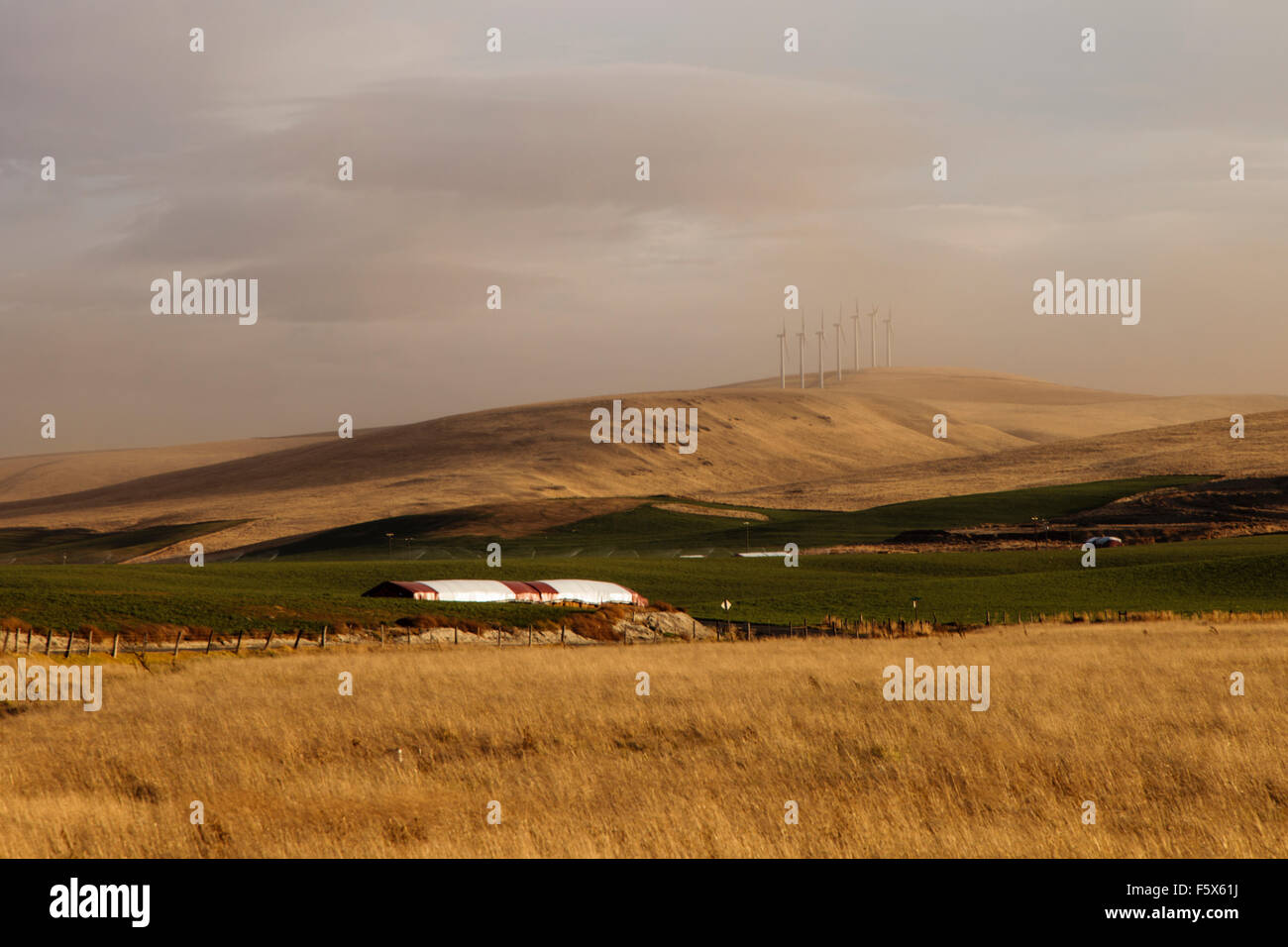 Walla Walla Valley, Eastern Washington North America USA Stock Photo