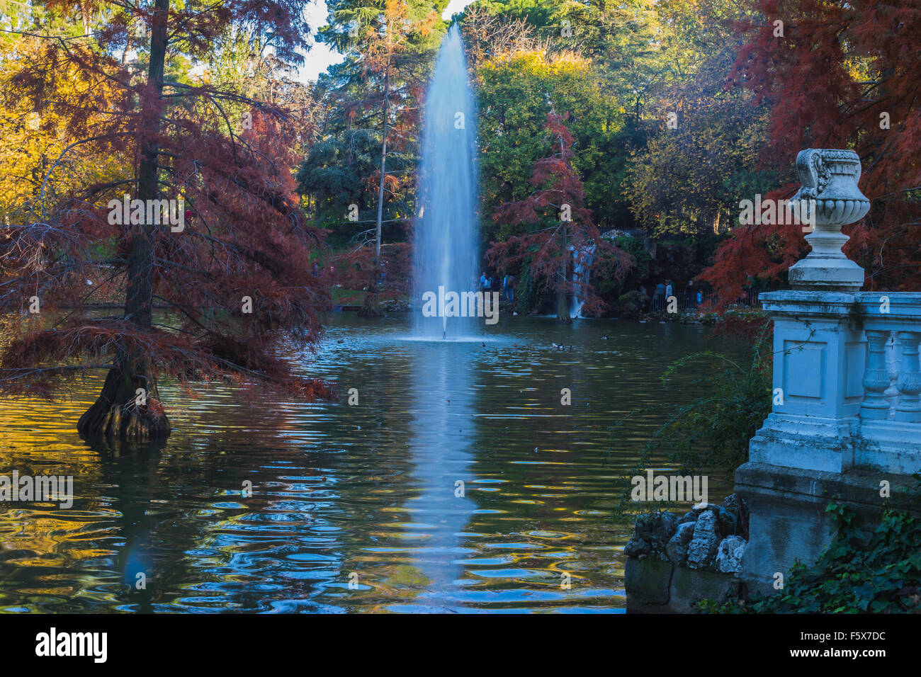 lake with reflections on water autumn Stock Photo - Alamy