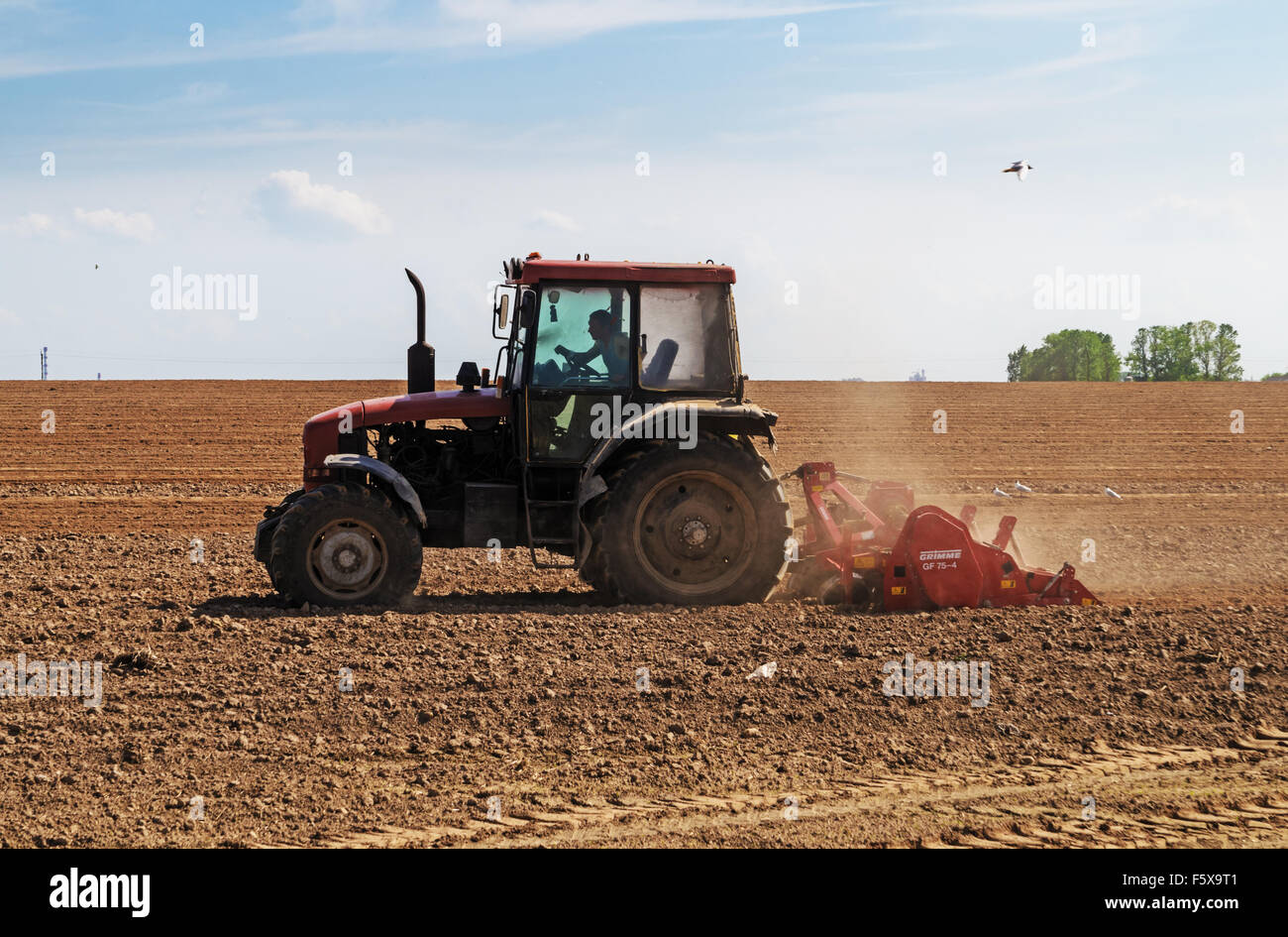 The tractor works at an agricultural field Stock Photo Alamy