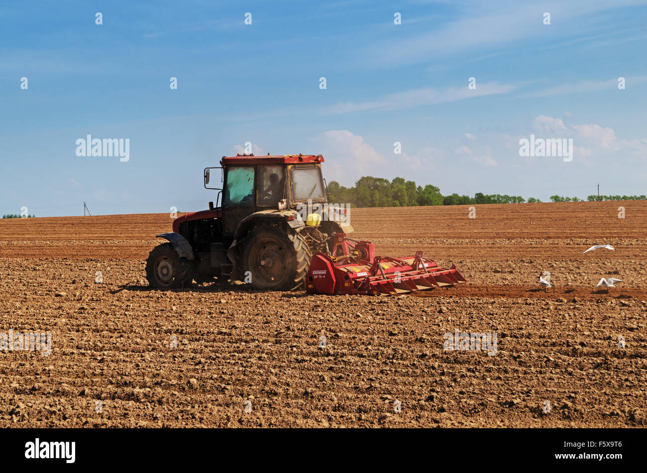 The tractor works at an agricultural field Stock Photo Alamy