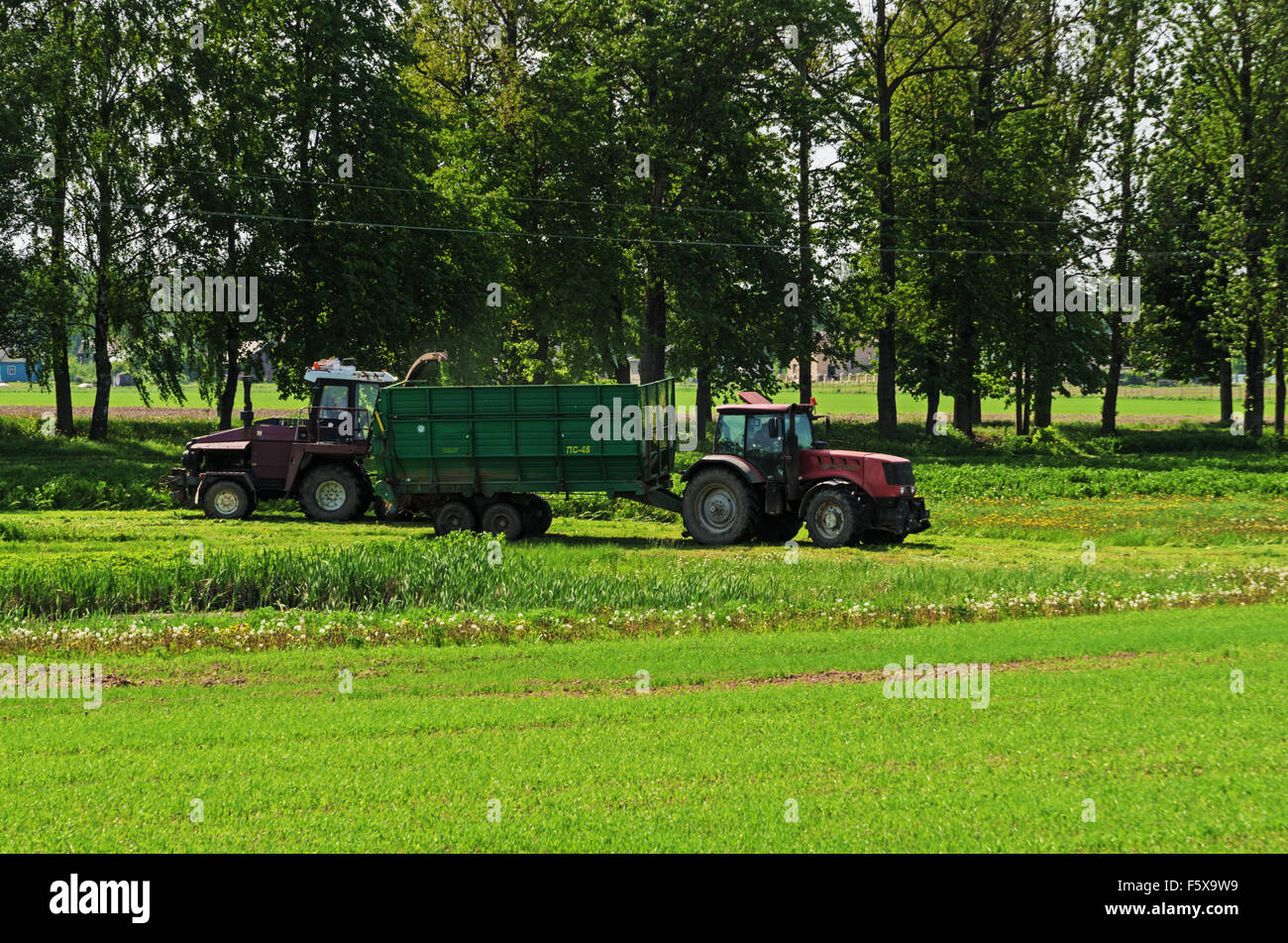 The tractor works at an agricultural field. Stock Photo