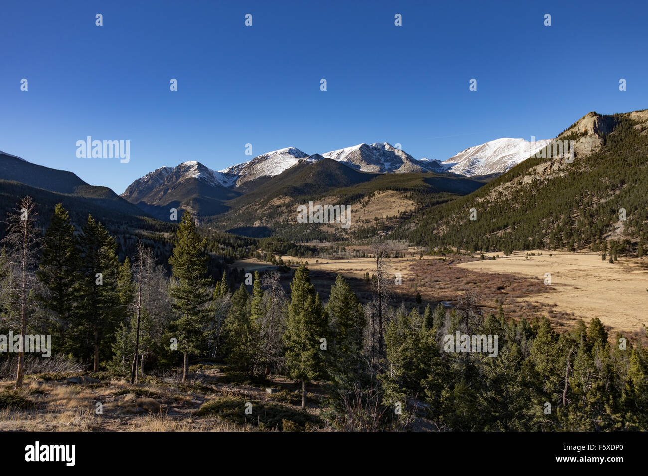 Horseshoe Park in Rocky Mountain National Park Stock Photo Alamy