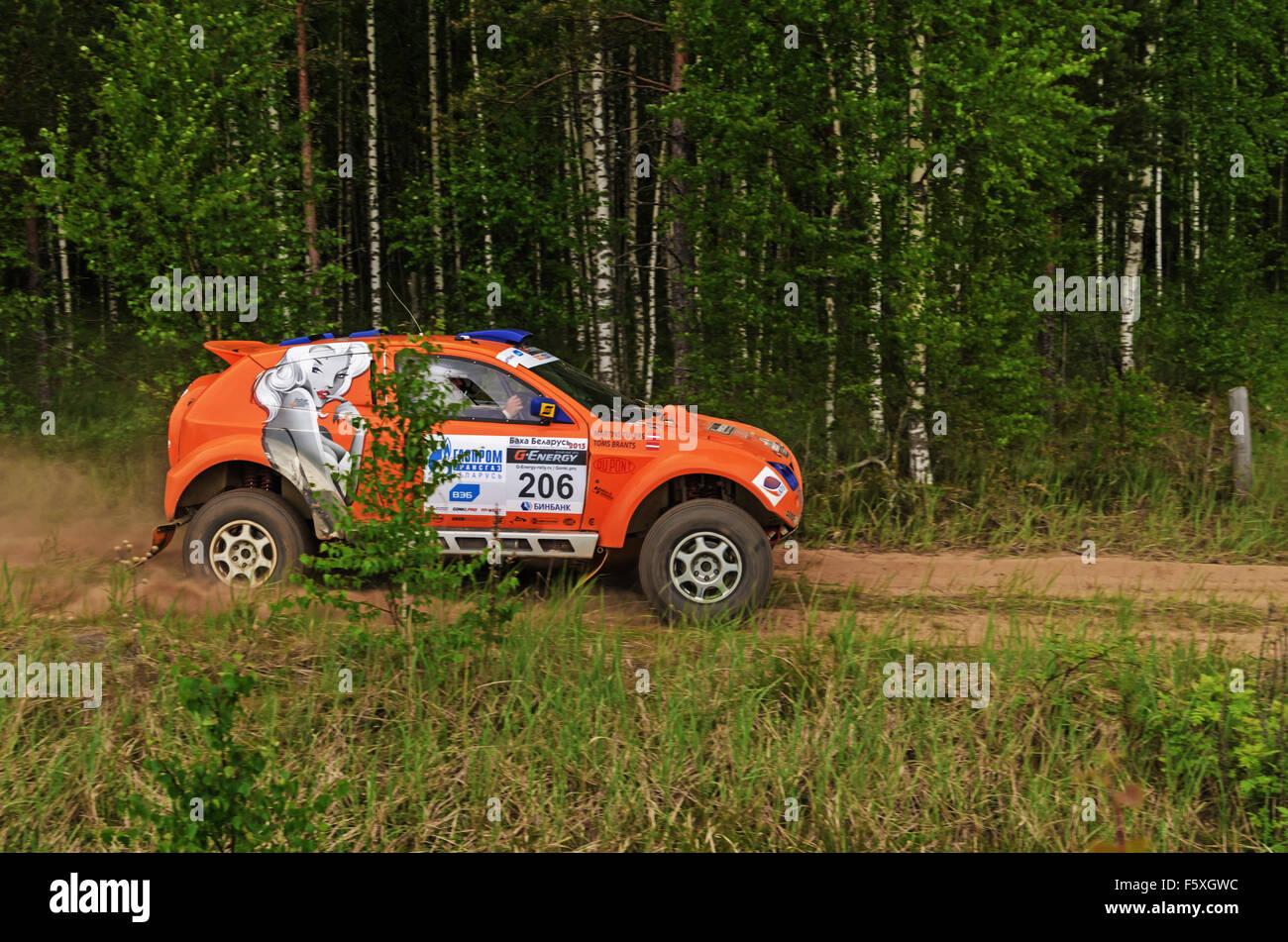 Baha Races Races on a rally-raid in forest. Rally-raid Baha