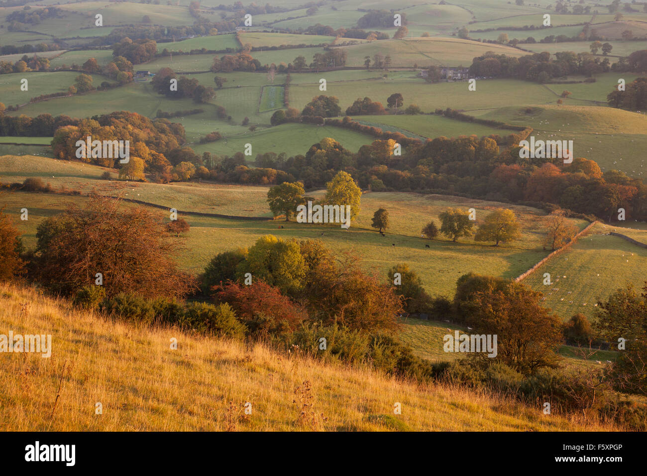 The rolling hills and countryside of Burton In Lonsdale, from above the village of Newbiggin, Burton in Lonsdale, Cumbria, UK Stock Photo