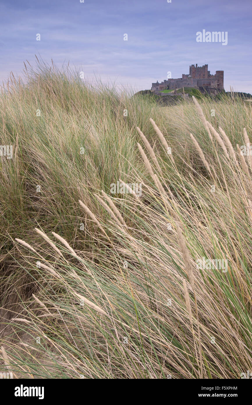 Bamburgh Castle from sand dunes at Bamburgh Beach, Bamburgh, Northumberland, UK Stock Photo