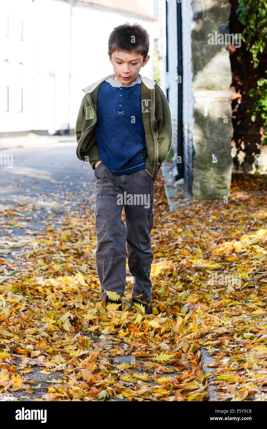 Caucasian child, 8 year old boy. Facing, walking towards viewer, through brown and golden leave covered lane, kicking leaves into air. Autumn. Stock Photo
