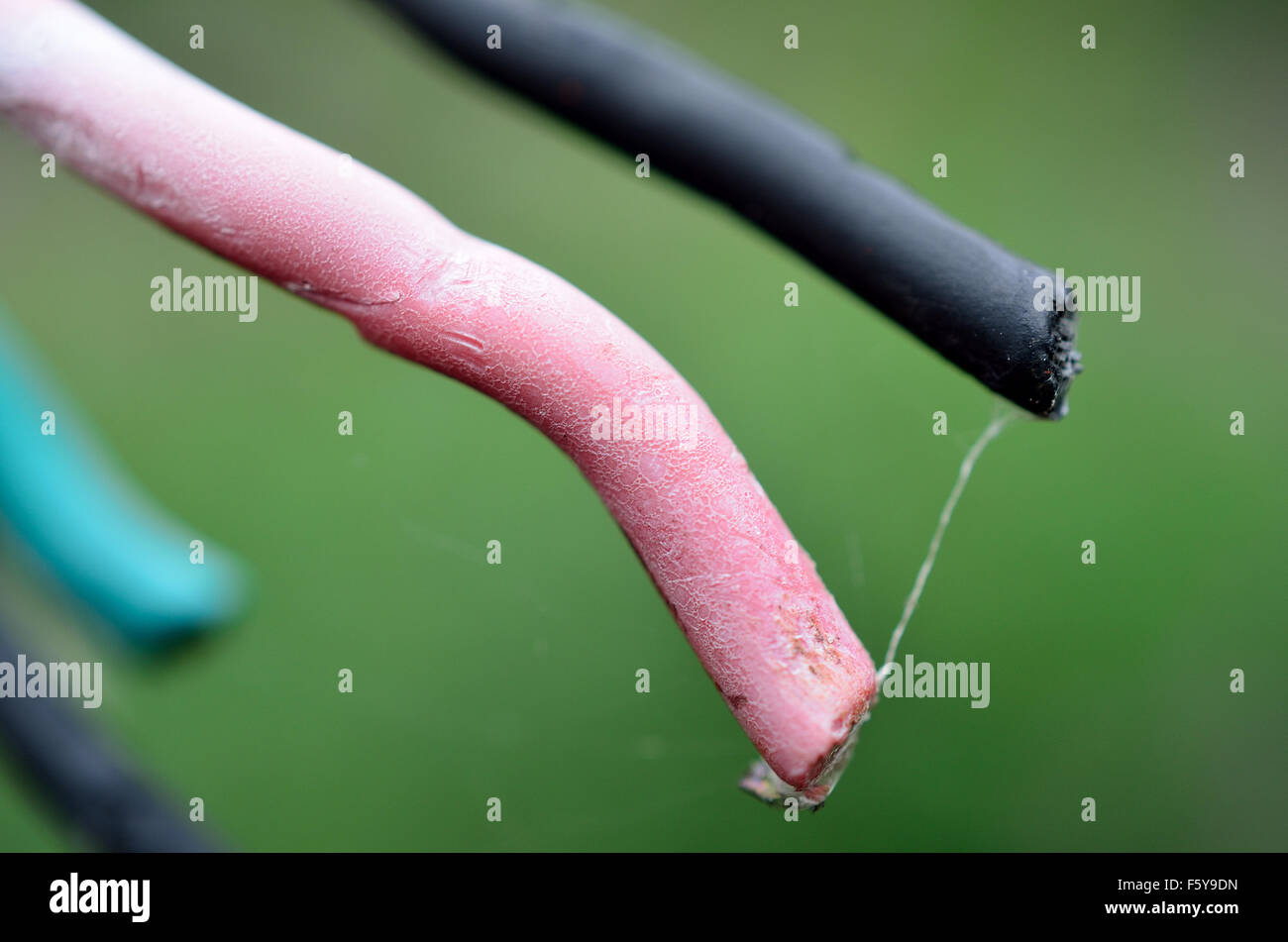 different colored wires macro Stock Photo Alamy
