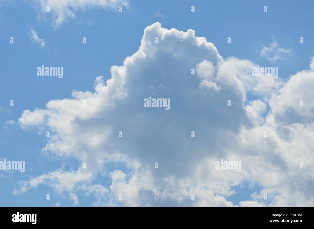 vibrant blue sky with fluffy white clouds in summer sunlight Stock ...