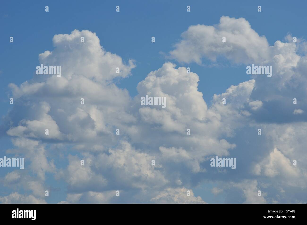 vibrant blue sky with fluffy white clouds in summer sunlight Stock ...