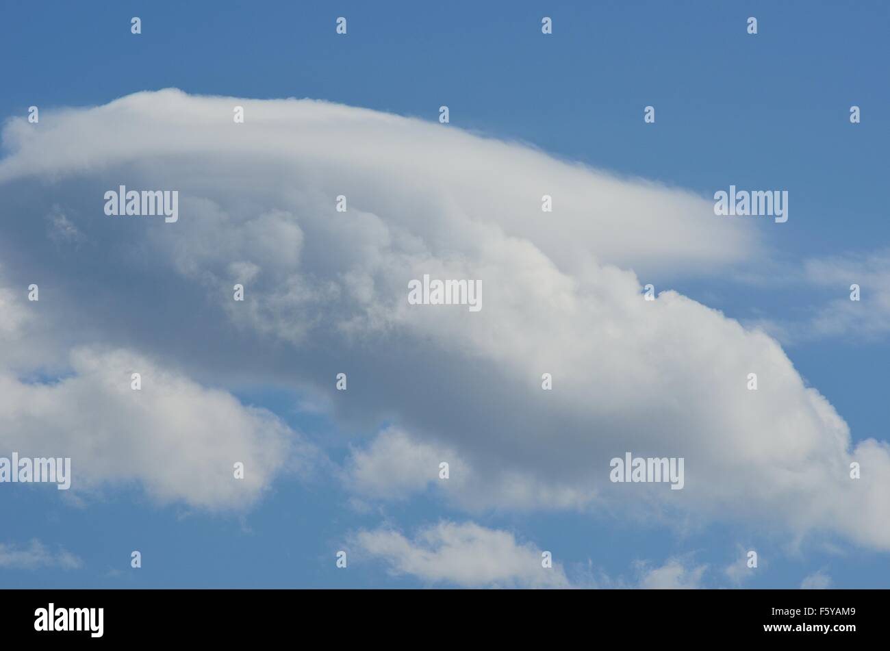 vibrant blue sky with fluffy white clouds in summer sunlight Stock ...