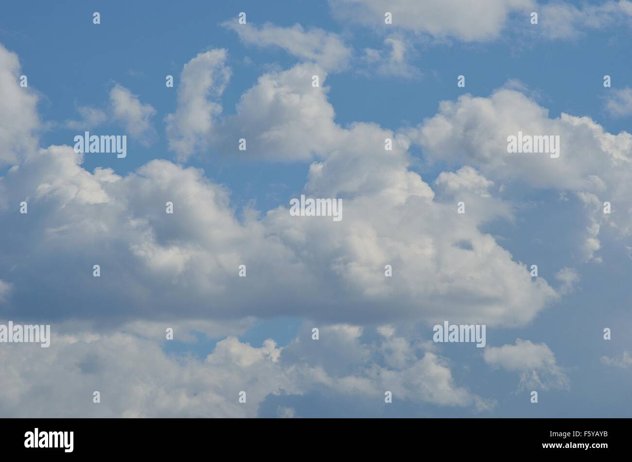 vibrant blue sky with fluffy white clouds in summer sunlight Stock ...