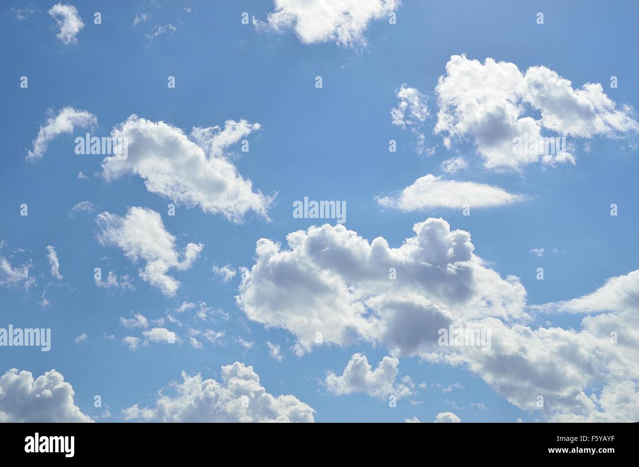 vibrant blue sky with fluffy white clouds in summer sunlight Stock ...