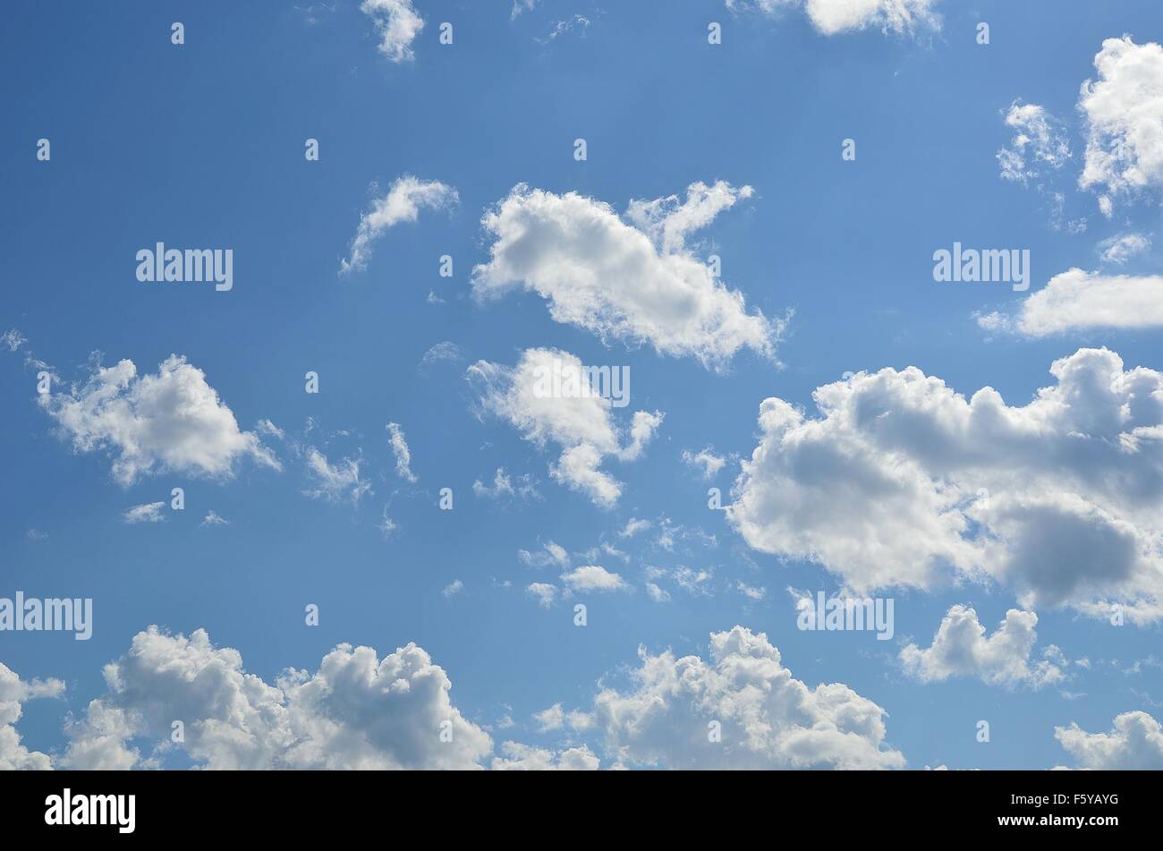 vibrant blue sky with fluffy white clouds in summer sunlight Stock ...