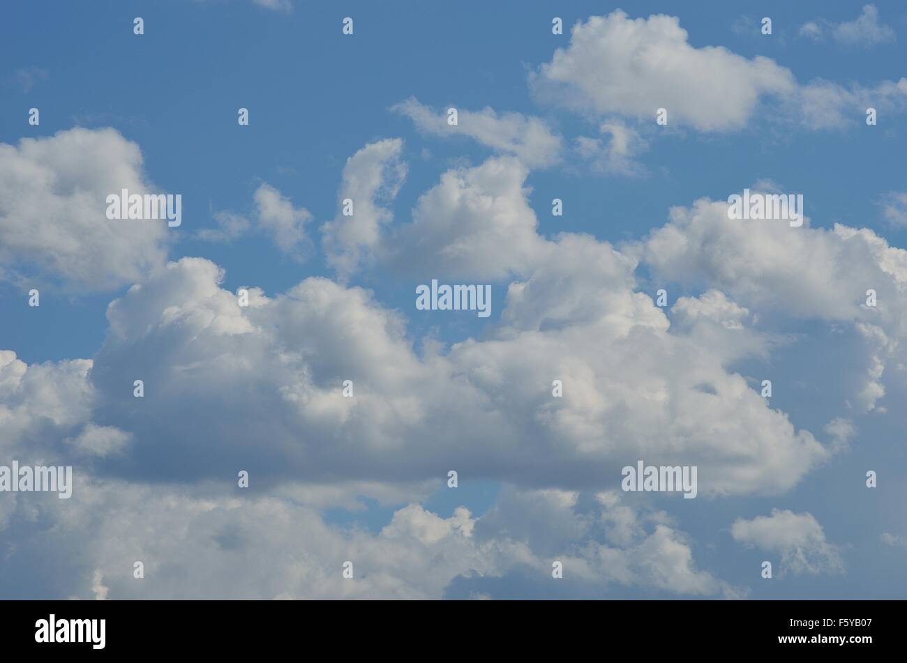 vibrant blue sky with fluffy white clouds in summer sunlight Stock ...
