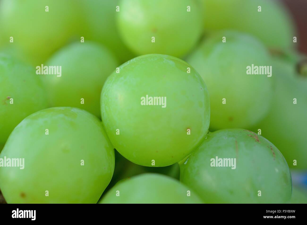 green grapes macro photo Stock Photo Alamy