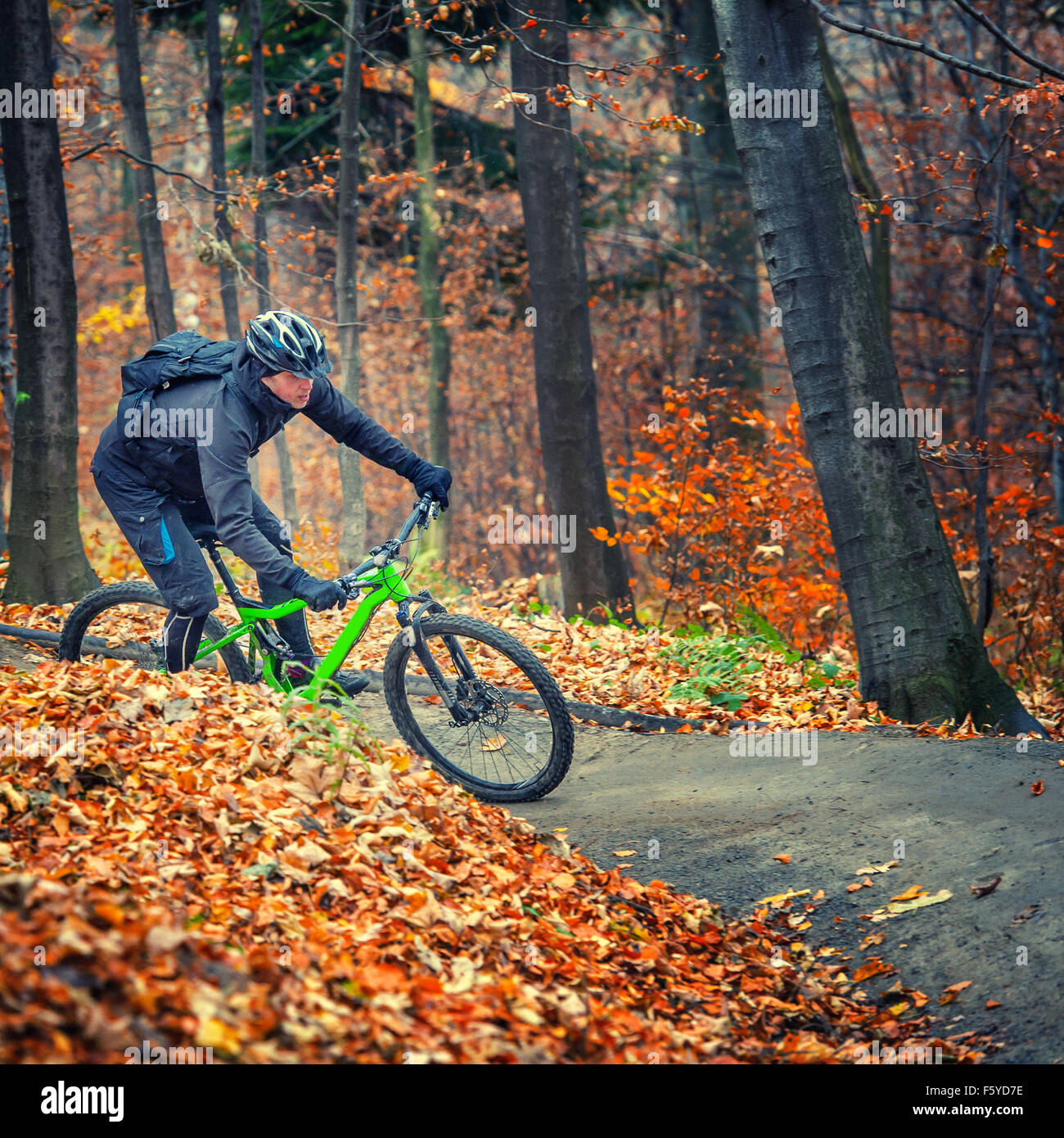 mountain biker riding in autumn forest Stock Photo - Alamy