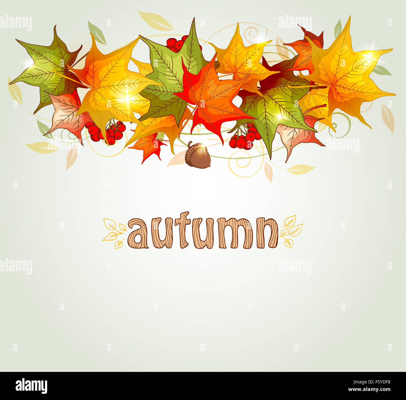 Abstract autumn background with maple leaves and acorn Stock Photo - Alamy