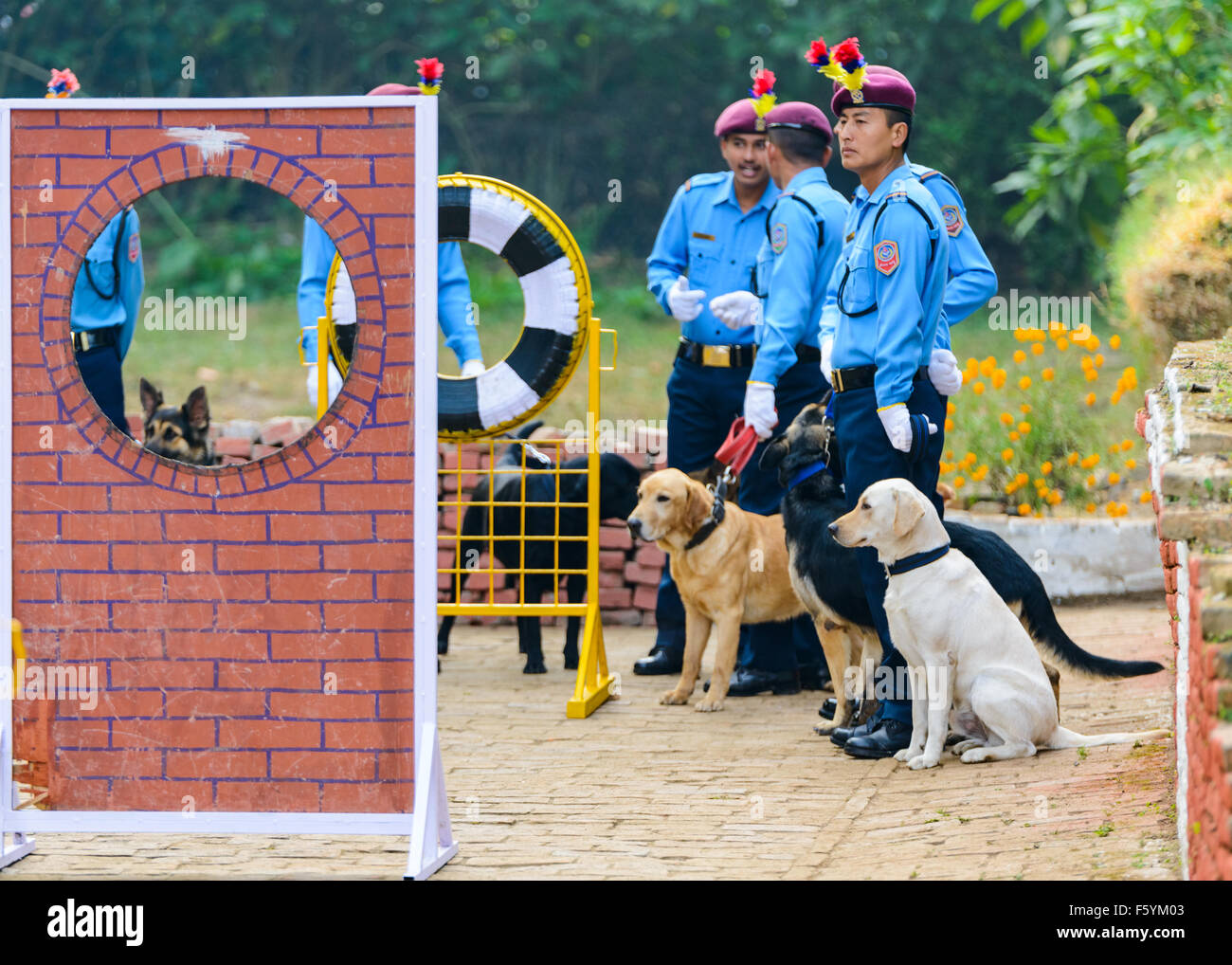kathmandu-nepal-10th-nov-2015-central-police-dog-training-school
