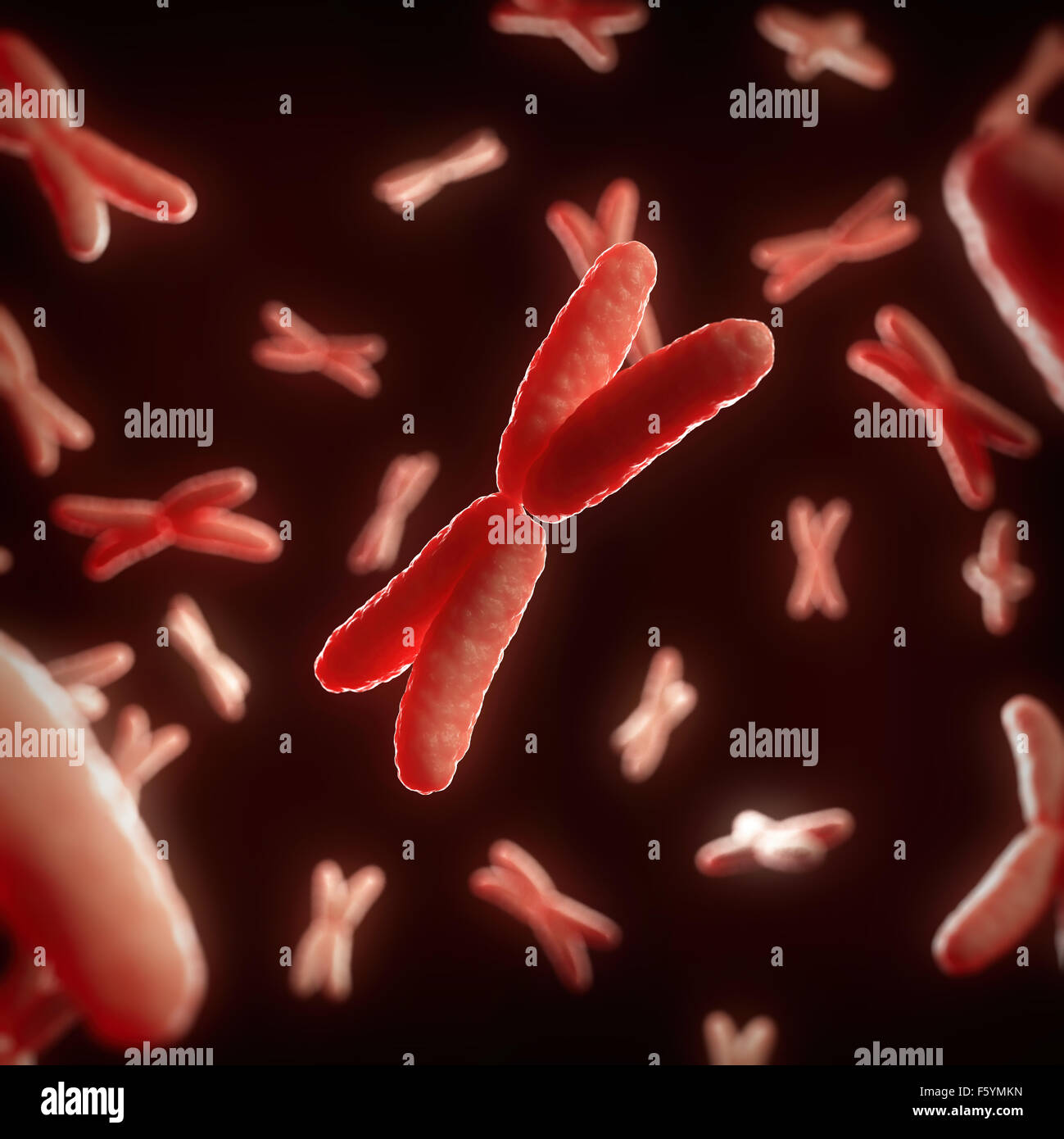 medical 3d illustration of some X chromosomes Stock Photo