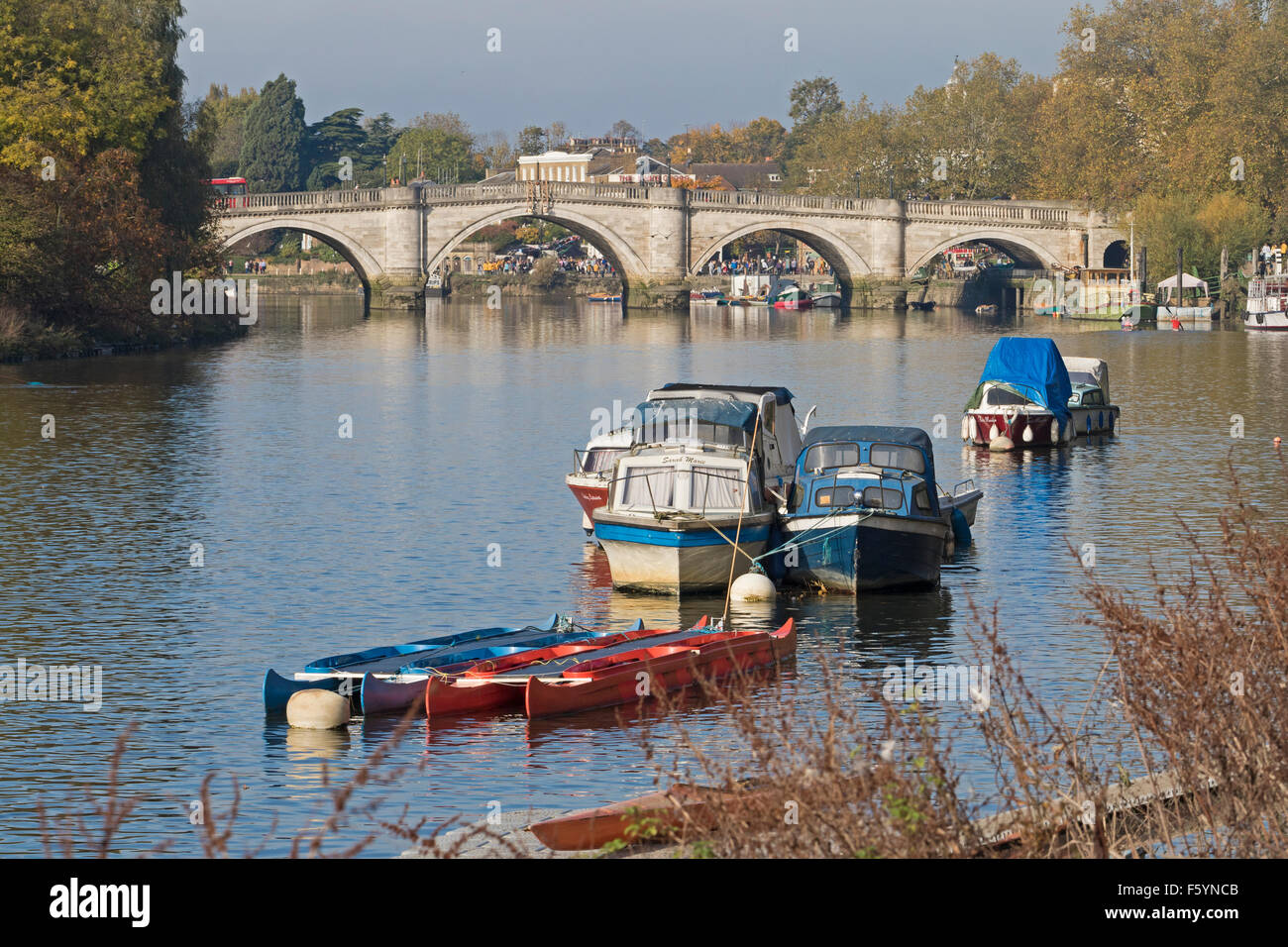 Richmond Upon Thames   Looking towards the 18th century bridge from upstream Stock Photo