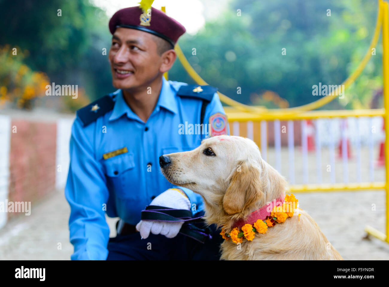 military dog training schools