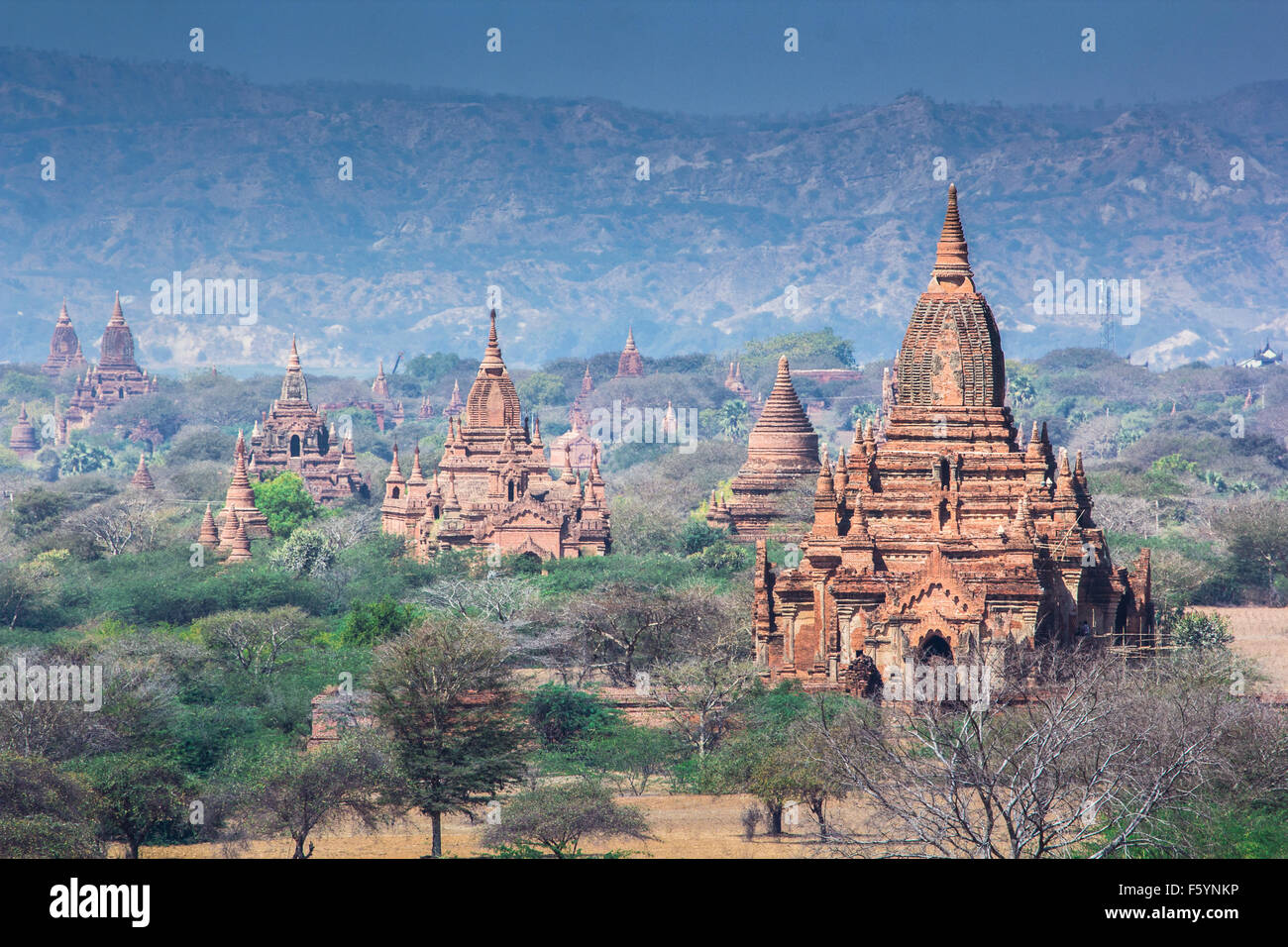 Temples in Bagan, Land of Pagoda, Myanmar Stock Photo