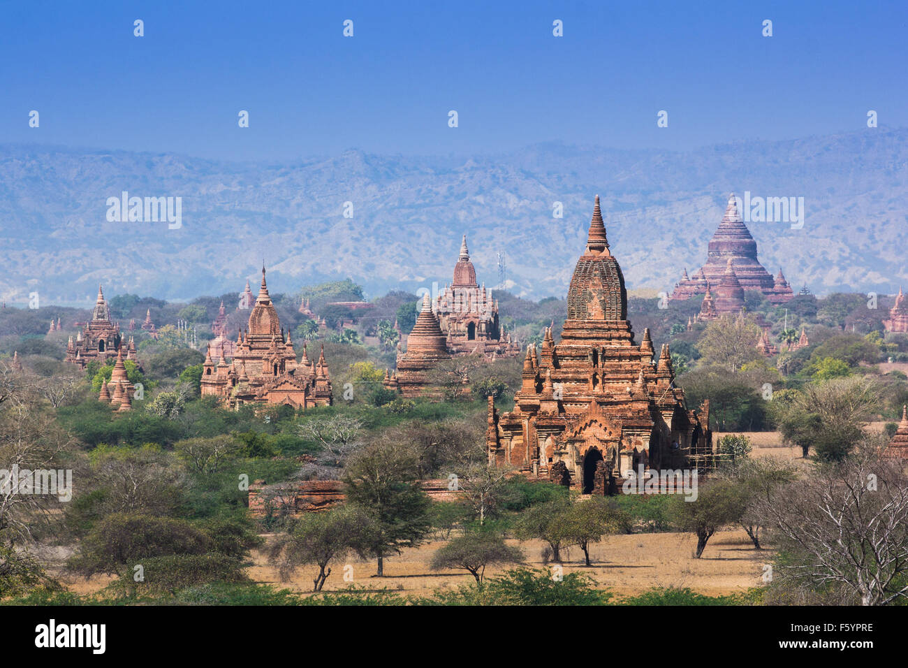 Temples in Bagan, Land of Pagoda, Myanmar Stock Photo