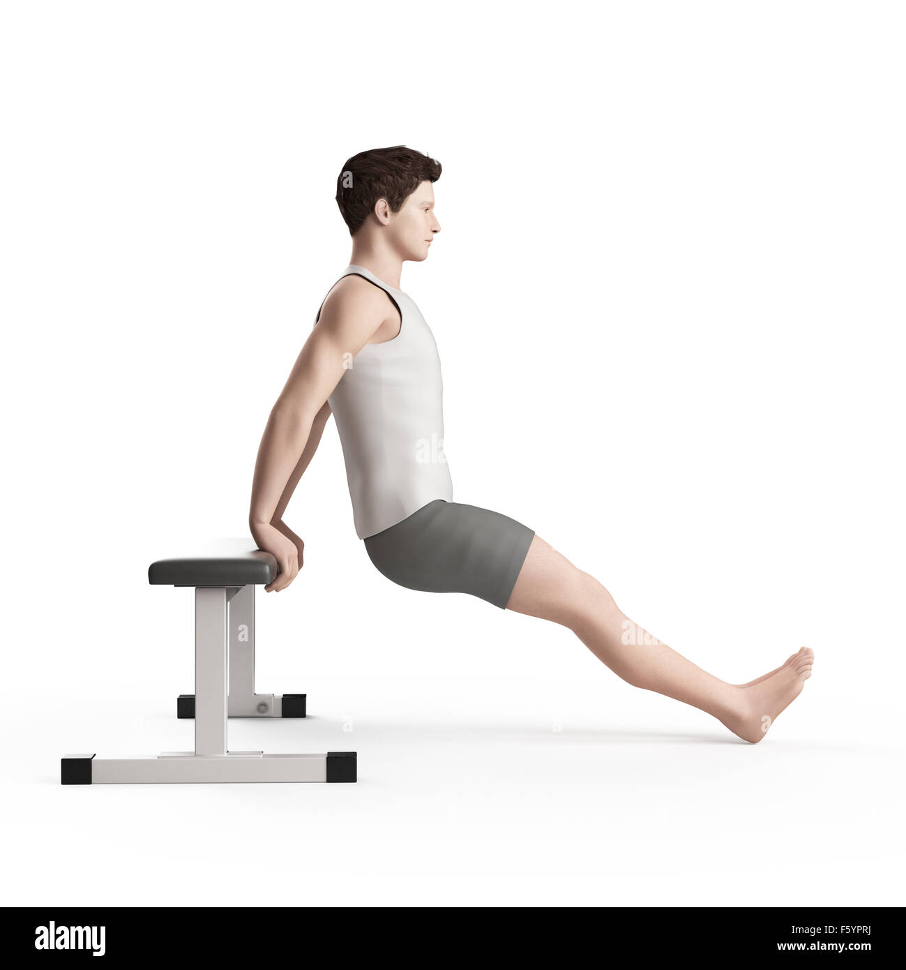 exercise illustration bench dip Stock Photo Alamy