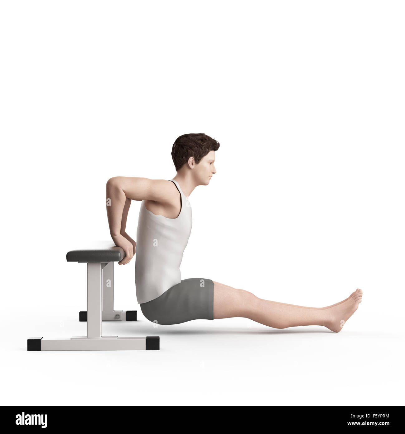 exercise illustration - bench dip Stock Photo