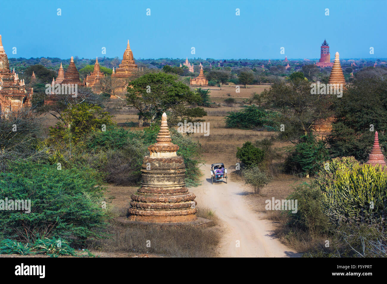 Horse carriage travelling on local road in Bagan Myanmar Stock Photo