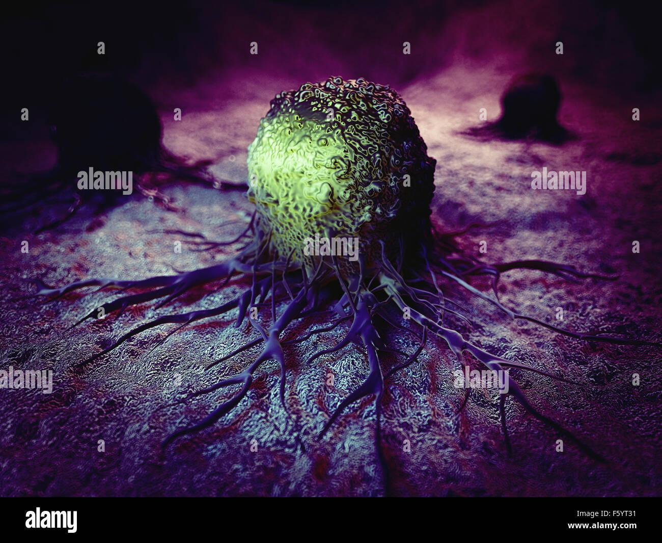medically accurate illustration of cancer cell Stock Photo