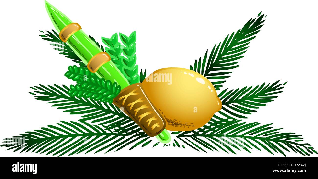 Vector illustration of the four species for Sukkot Jewish holiday. Stock Vector