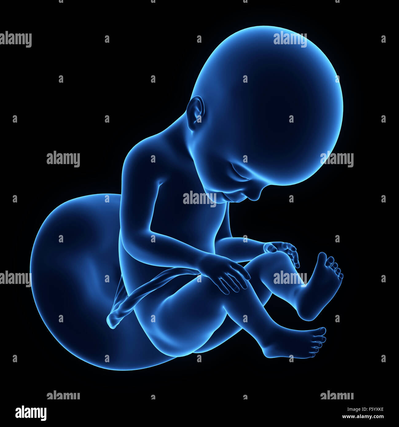 Pregnancy week 27 hi-res stock photography and images - Alamy