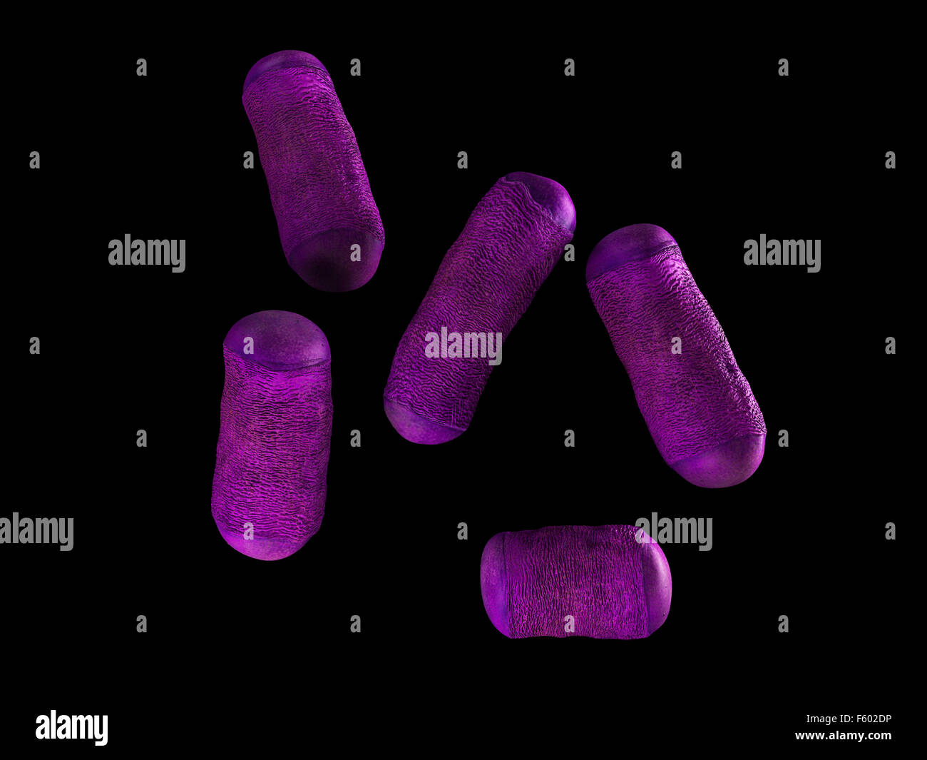 medical bacteria illustration of the lactobacillus Stock Photo