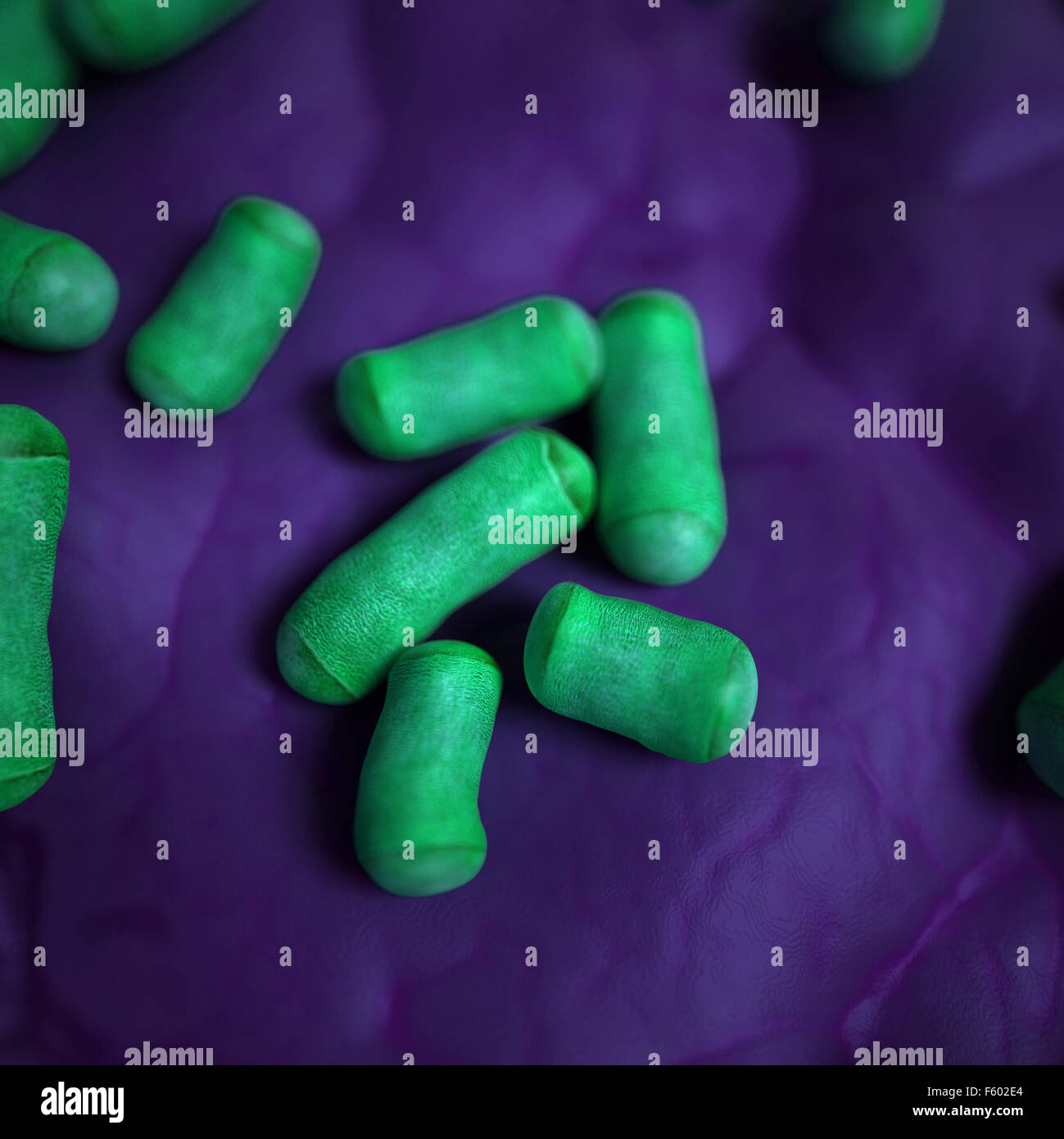 medical bacteria illustration of the lactobacillus Stock Photo