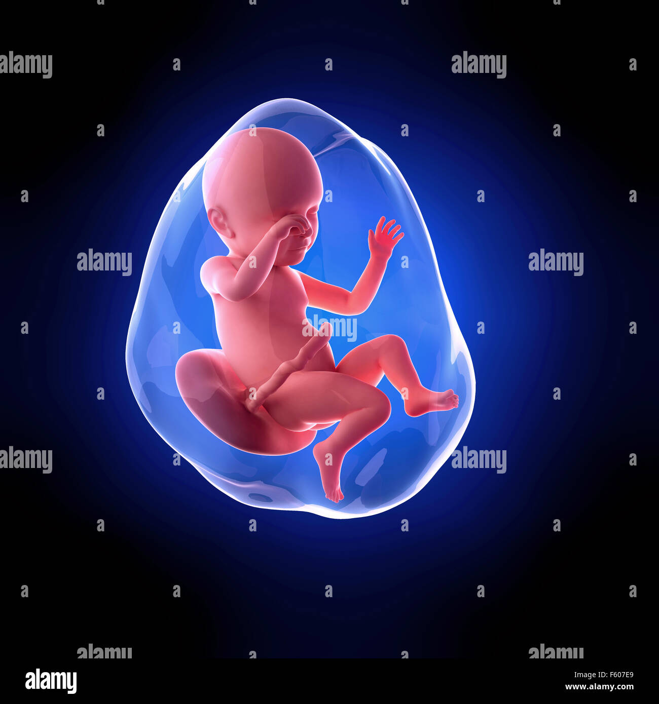 39 weekly hi-res stock photography and images - Alamy