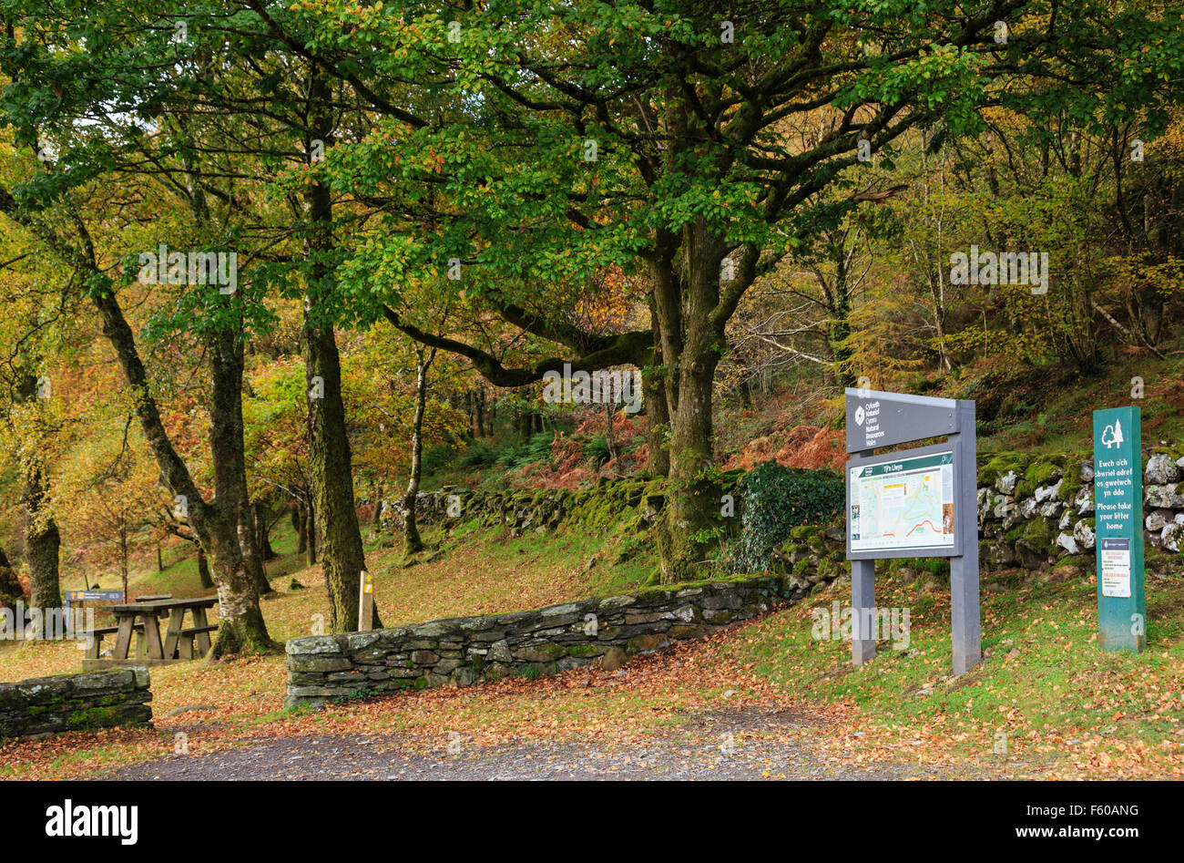 Ty'n Llwyn information board sign in car park in Gwydyr Forest Park in Snowdonia National Park in autumn. Betws-y-Coed Conwy North Wales UK Stock Photo