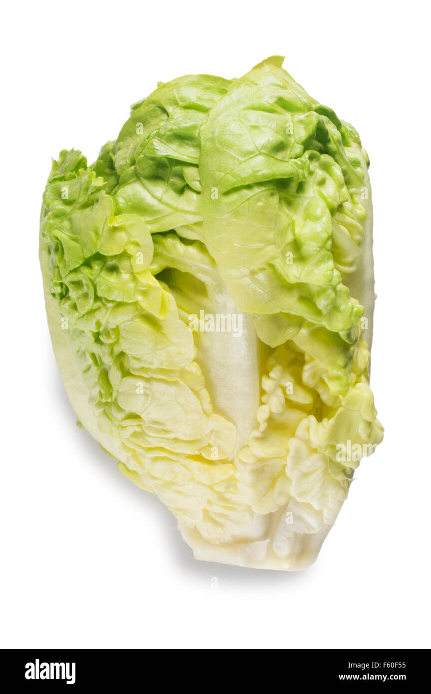 Little Gem Lettuce Stock Photo Alamy