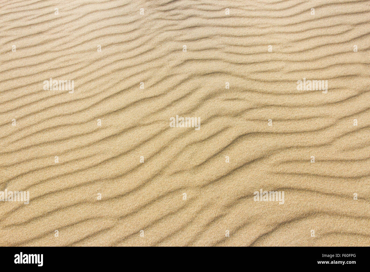 Beach sand Stock Photo