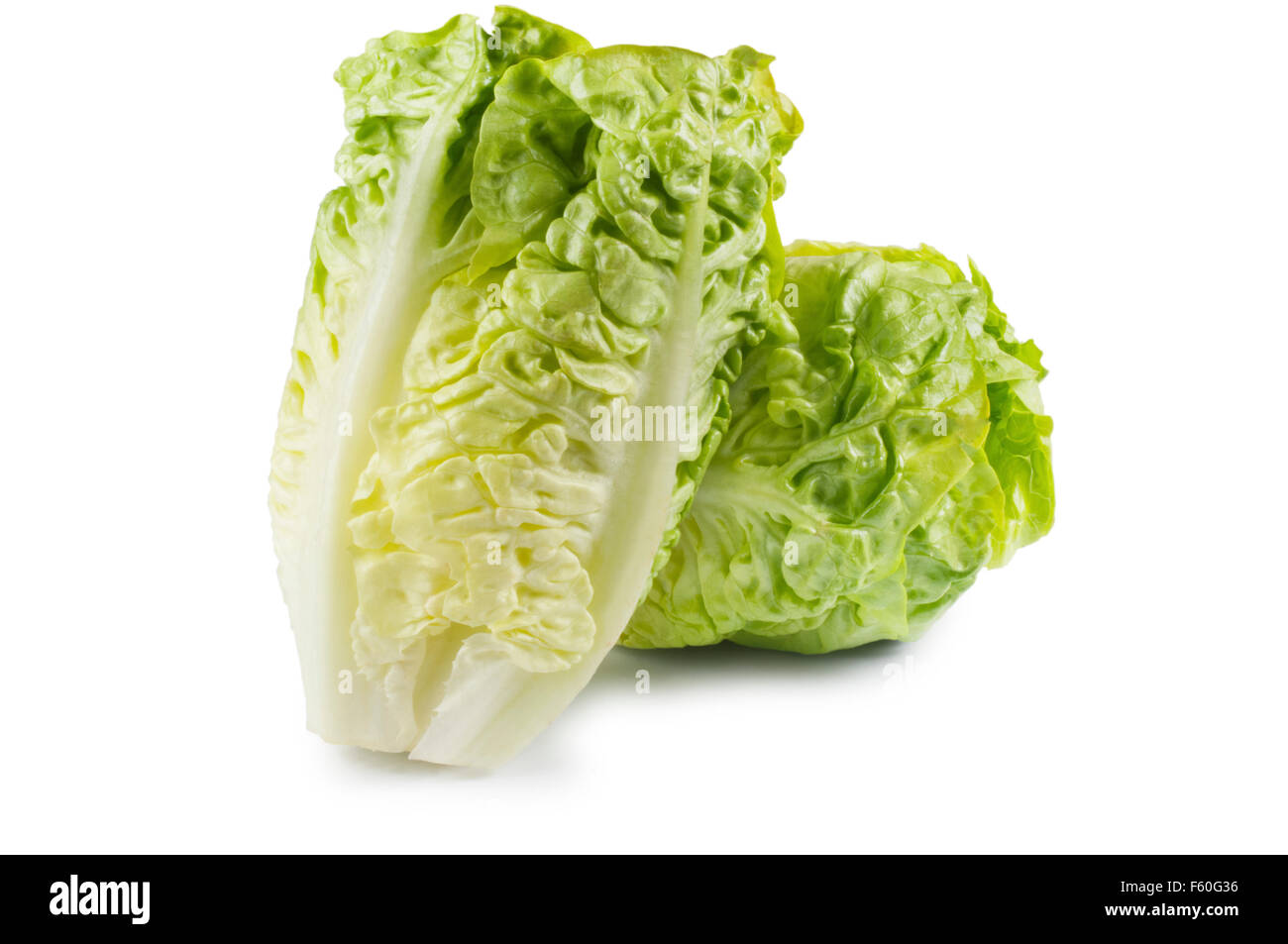 Little Gem Lettuce Stock Photo Alamy