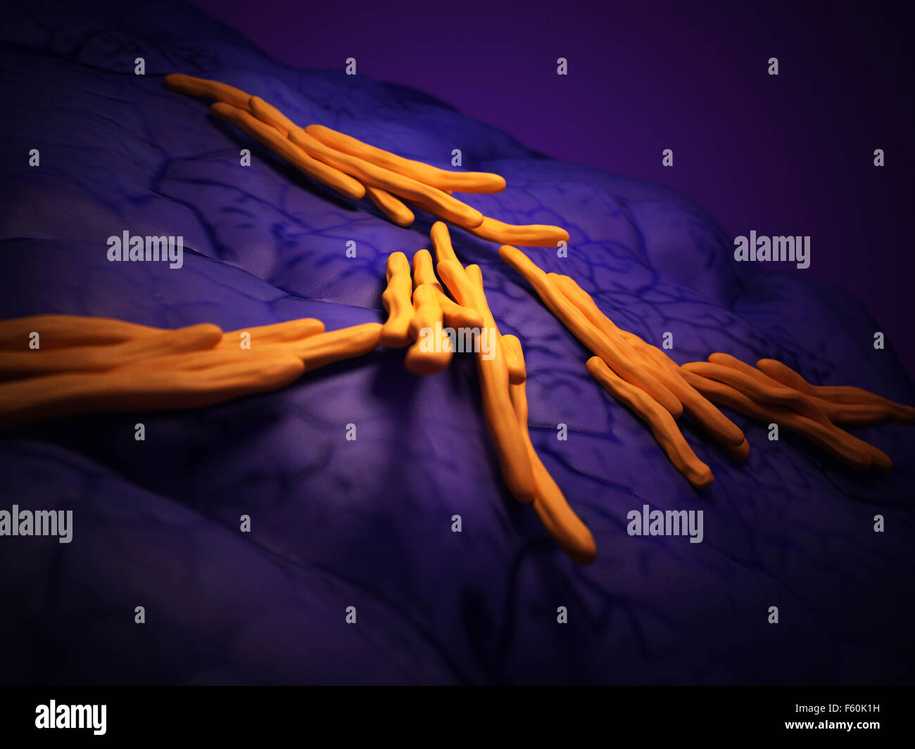 medical bacteria illustration of the mycobacterium tuberculosis Stock Photo