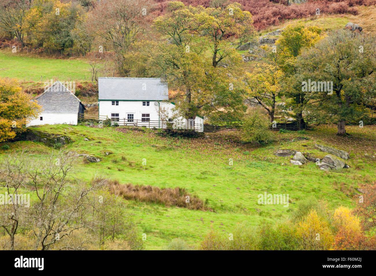 Remote cottage near Garreg Ddu Reservoir, Mid Wales, UK in Autumn Stock Photo